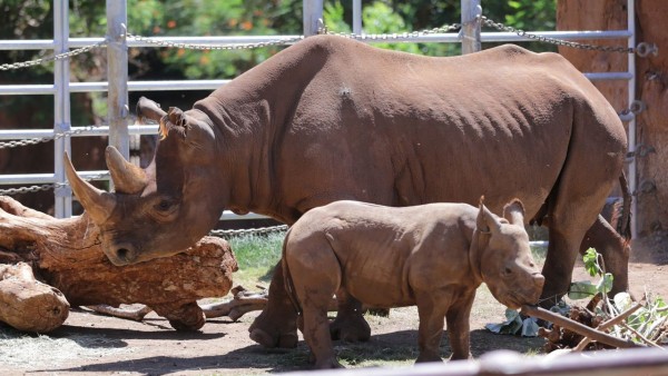 49a000a76117032ce4be10c09d496662_1792195881_4145.jpg